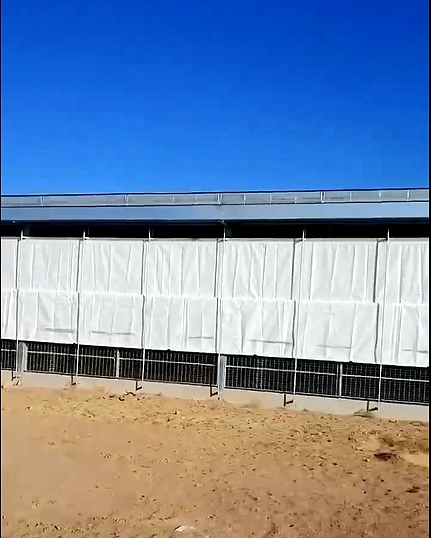 芒果视频成年app安卓版下载卷帘